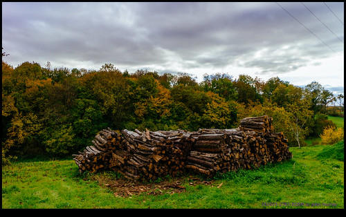 trees france clouds logs eurotrip 2015