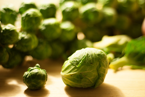 2015.11.15 - Brussel Sprouts