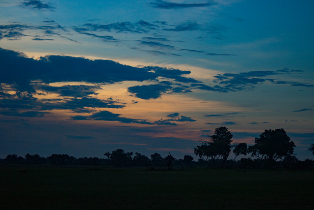 Okavango sundown