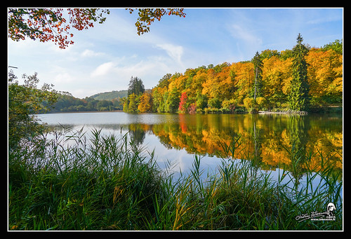 france automne paysages 2015 bourgognecôtedor chatillonsurseine21400 étangsdesmarots christianlabeaune