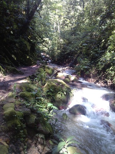 rio forest trekking river tirol waterfall selva perú jungle caminata catarata junín 2015 chanchamayo sanramón selvacentral selvaalta catarataeltirol