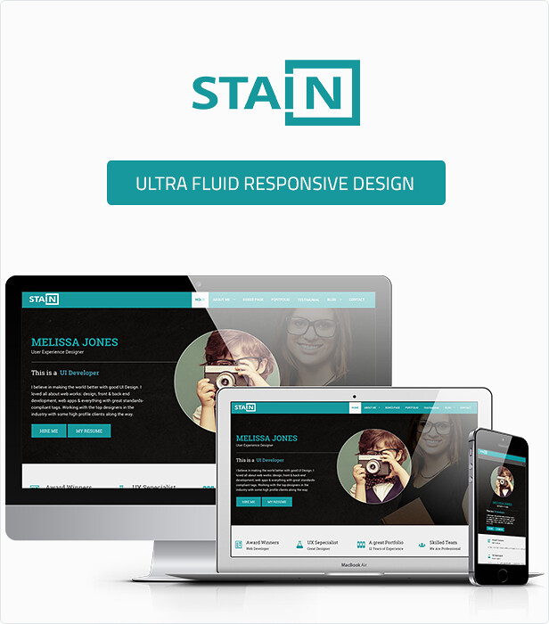 Stain - One Page Portfolio Resume WordPress Theme - 5