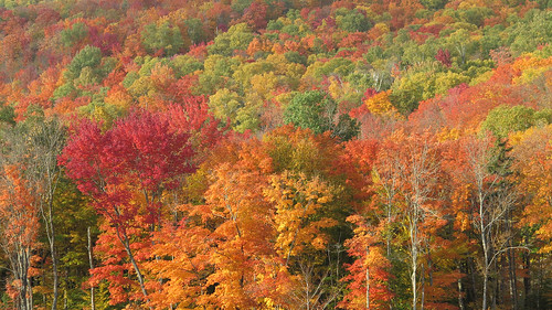 kanada canada indian summer autumn fall herbst nature landscape landschaft natur