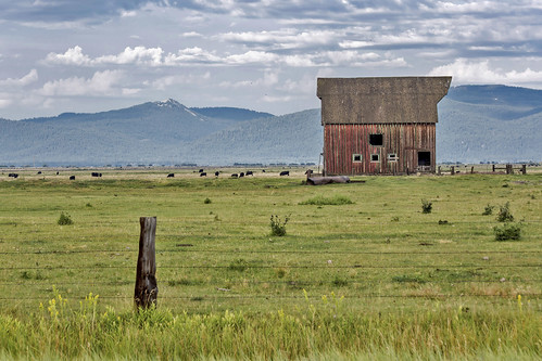 mountains oregon cattle cows country barns weathered farms weatheredwood redbarns oldfarms canonphotography mountainscenes oregonlandscapes countrylandscapes