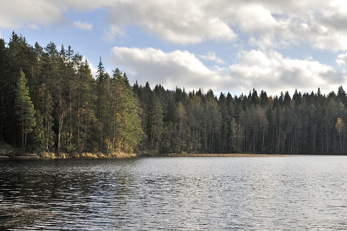 forest suomi finland landscape maisema metsä järvi järvimaisema