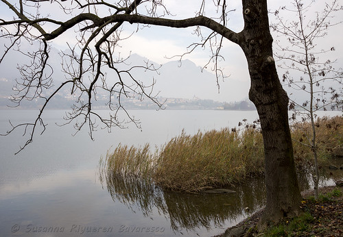 Laghi Briantei:Lago di Annone