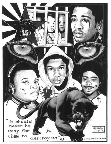 Black Panther Ferguson