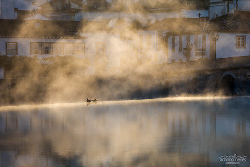 water europe nabão portugal ribatejo tomar bird city cityscape duck fog morning old reflection river sunrays sunrise urban