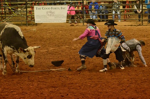rodeo gayga qcarena 2015iprasoutheastregionalfinals