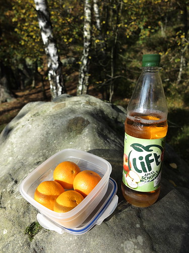 Mandarinchen und Apfelsaftschorle (bei einer Rast auf dem Spaziergang “Waldauenweg”)