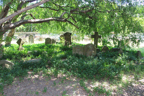 Camperdown Cemetery Tour