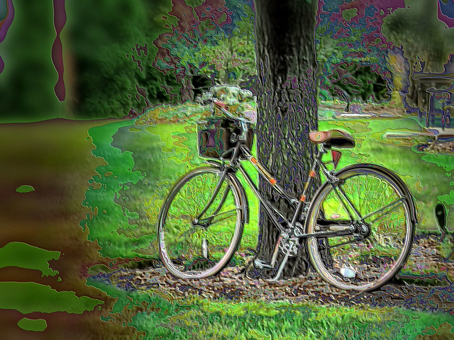 Bicycle ENAMEL 20150831