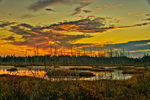 sunset landscape us washington newjersey unitedstates pinelands landescape pinebarrens jerseydevil pinebarren 5place 5places