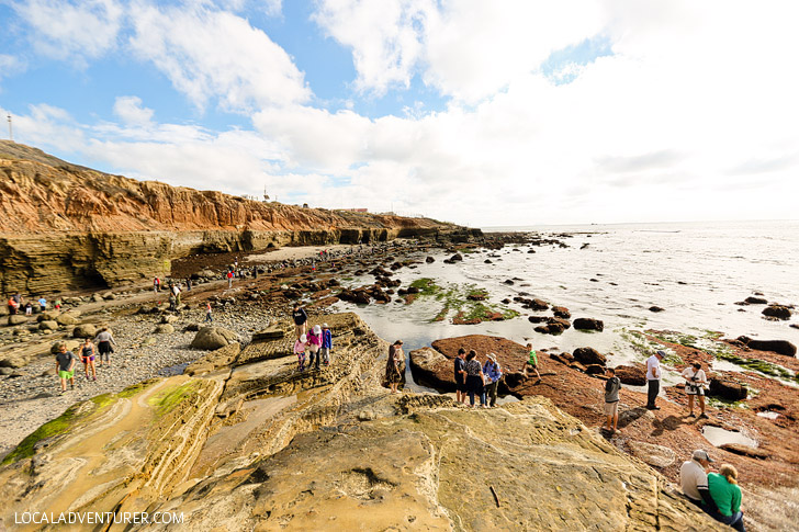 Tide Pooling - Finding Fascinating Sea Life at Cabrillo National Monument San Diego Tide Pools.