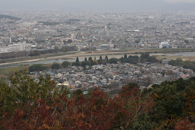 View from Iwatayama