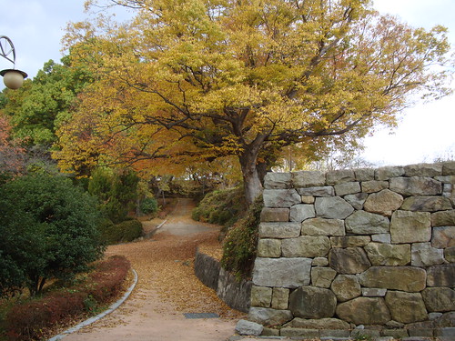city wall herbst korea stadtmauer sacheon 사천읍성