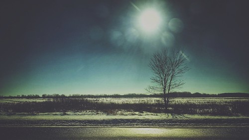 winterscape snapseed iphoneography iphoneonly iphonephotography shotoniphone7 sunset tree winterday winter highway canada quebec