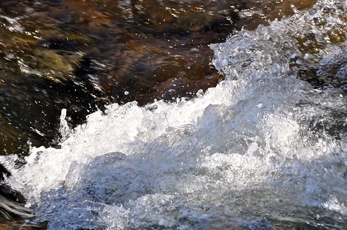 montrose pennsylvania saltspringsstatepark winter januarythaw northcreektrail slivercreek roughwater cascade churning