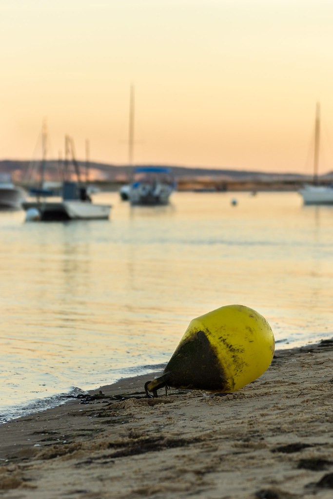 Sur le bassin d'Arcachon 22677661781_1d24d3bf8a_b