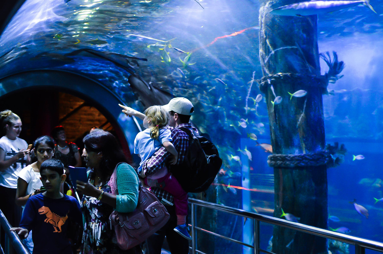 Melbourne Aquarium 2015