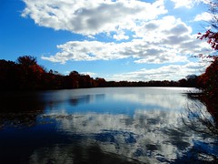 Wantagh - Twin Lakes Preserve - Autumn (77)