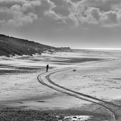 monochrome blackandwhite bandw blackwhite bw beach shore walking walker dog dogwalking