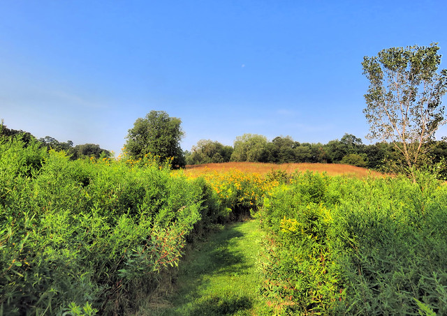 Hickory Knolls HDR 20150902