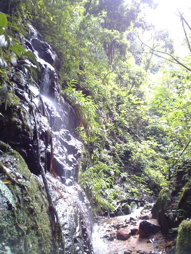 water stone forest trekking waterfall agua selva perú jungle caminata catarata roca junín lamerced 2015 chanchamayo selvacentral selvaalta