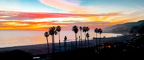 malibubeach california beach beachscape afternoon colors palmtrees seashore seascape walking waterways urban urbanexploration outdoors travelling