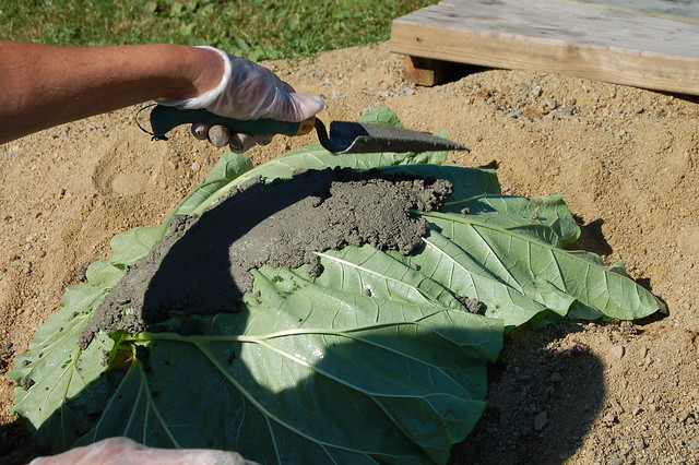 Add lots of concrete for a big rhubarb leaf