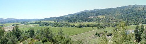 california panorama widescreen calistoga panoramic winery vineyards napavalley sterlingvineyards napa sterling stitched sterlingwinery panoramafactory