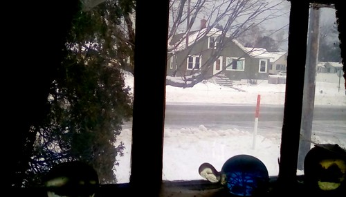 winter view window house street trees snow paperweights menominee uppermichigan happywindowswednesday flickr365