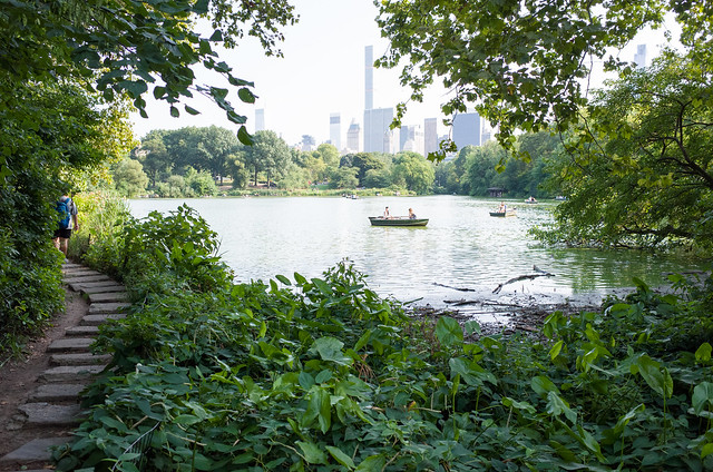 the lake, central park