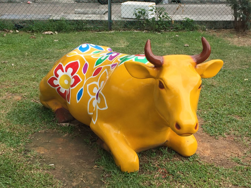 Cow sculptures, Clive Street, Singapore