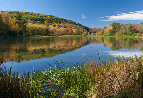 autumn lake nature lago fallcolors paisaje otoño newyorkstate binghamton
