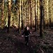 Sequoia racing the sunset. Seen while trail running. #kid #sunset #dusk #sundown #sunlight #shadowsandtalltrees #shade #trailrunning #trailrunner #trailrun #forest #woods  #beavercreekoregon #raysoflight