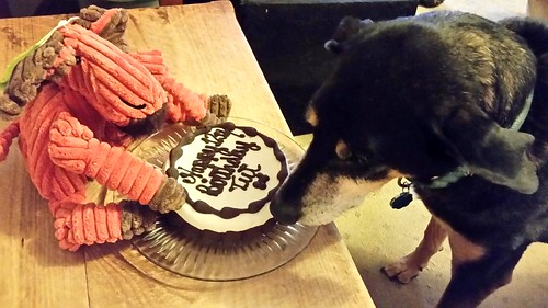 Lapdog Creations dog birthday cake