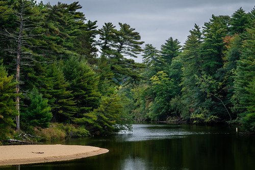 autumn fall beach pine wisconsin river landscape us sand raw unitedstates cloudy outdoor sony evergreen fullframe alpha wi wisconsindells facebook lightroom twitter 500px tumblr a6000