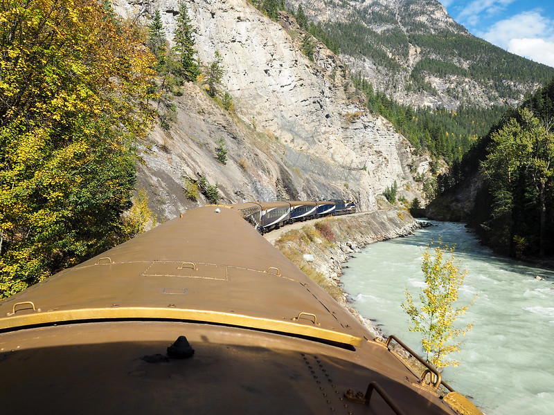 The Rocky Mountaineer alongside the Kicking Horse River
