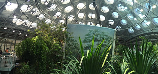 Neighborhood Days - California Academy of Sciences Biosphere view of top