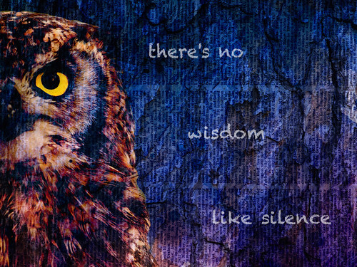 Owl digital collage