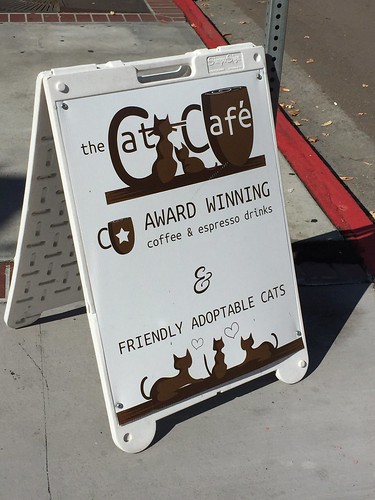 The Cat Cafe
