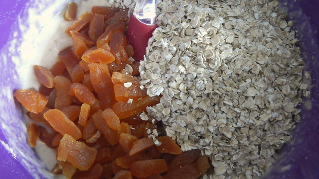 Apricot Oatmeal Loaf 7