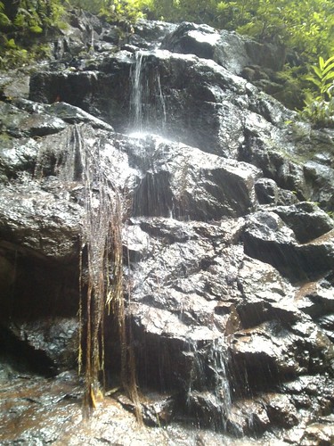 water stone forest trekking waterfall agua selva perú jungle caminata catarata roca junín lamerced 2015 chanchamayo selvacentral selvaalta