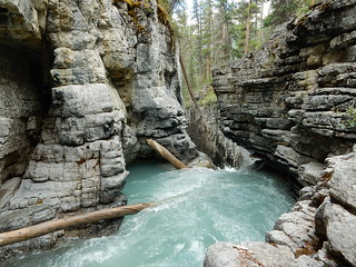 Beauty creek - Jasper National Park