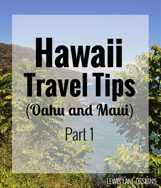 Hawaii Travel Tips by Lewis Lane