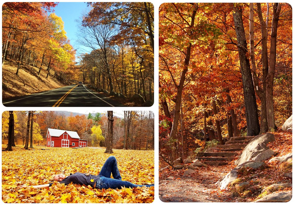 Fall Foliage Road Trip