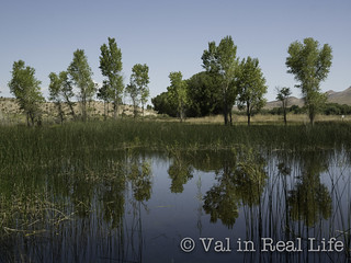 Pahrangat National Wildlife Refuge - Val in Real Life