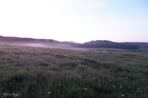 morning mañana fog nebel sweden schweden meadow wiese sverige prado prairie nebbia morgen prato niebla brouillard suecia matin morgon mattino dimma suède スウェーデン svezia 朝 草地 霧 äng åkaröd