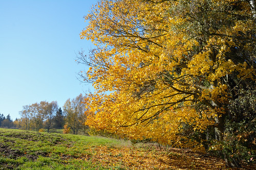 autumn fall landscape nikon autumnlandscape d7100 nikond7100 dolnížandov